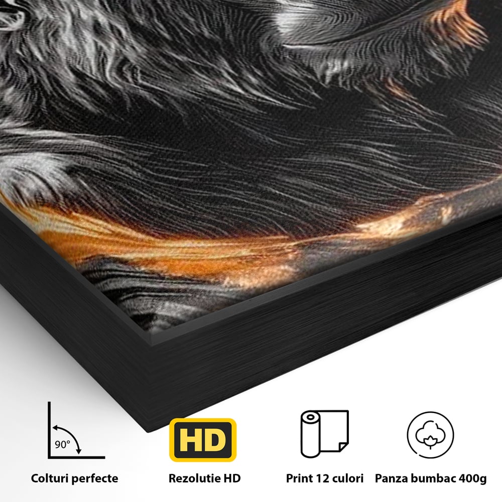 Detaliu al suprafetei: tablou canvas cu gorila si cerc de foc, in rama de aluminiu negru